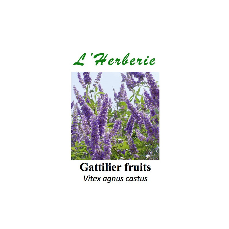GATTILIER FRUIT 100GR GATTILIER FRUIT 100GR
