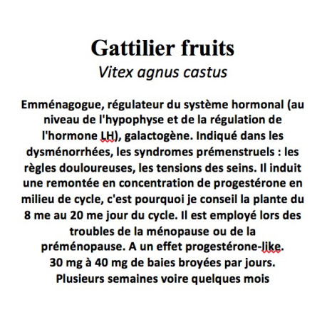 GATTILIER FRUIT 100GR