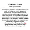 GATTILIER FRUIT 100GR