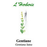 GENTIANE RACINE 100GR