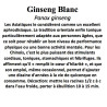 Ginseng Blanc  Panax ginseng 25 gr