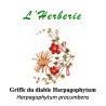GRIFFE DU DIABLE 100GR HARPAGOPHYTUM