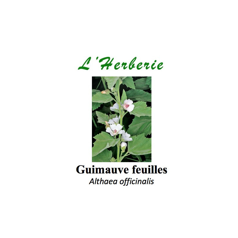 Guimauve feuilles Althaea officinalis 100 gr