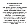 Guimauve feuilles Althaea officinalis 100 gr