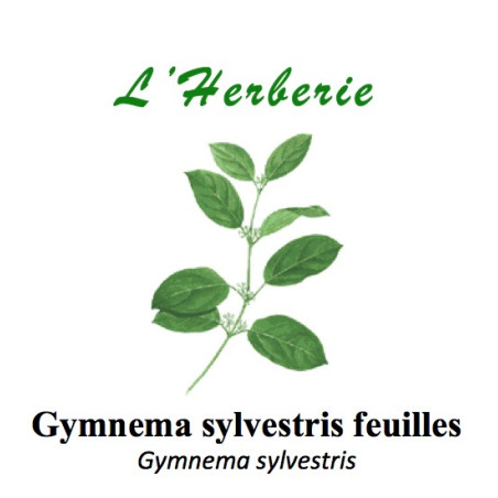 GYMNEMA SYLVESTRIS feuilles 100GR