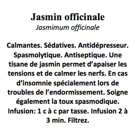 JASMIN OFF FLEURS 100GR Jasminum officinalis