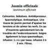 JASMIN OFF FLEURS 100GR Jasminum officinalis