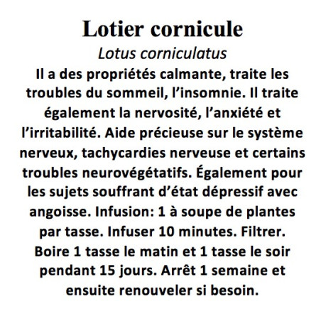 LOTIER CORNICULE COUPE 100 GR Lotus corniculatus