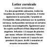 LOTIER CORNICULE COUPE 100 GR Lotus corniculatus
