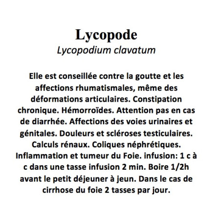 LYCOPODE 100GR Lycopodium clavatum