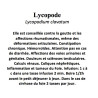 LYCOPODE 100GR Lycopodium clavatum