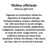 MELISSE CITRONEE 100GR