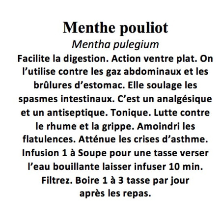 Menthe pouliot 100 gr Mentha pulegium