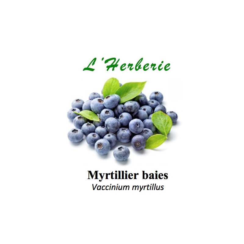 Myrtillier baies 100 gr Vaccinium myrtillus Myrtillier baies 100 gr Vaccinium myrtillus