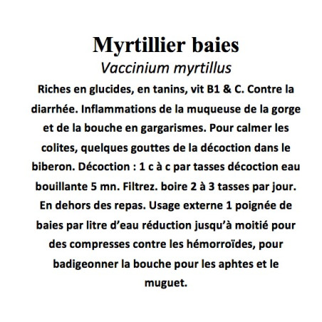 Myrtillier baies 100 gr  Vaccinium myrtillus