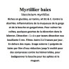 Myrtillier baies 100 gr  Vaccinium myrtillus