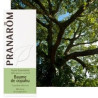 HE BAUME DE COPAHU 10 ML PRANAROM