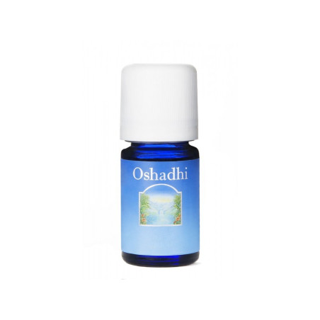 HE SANTAL INDE BOIS 1 ML OSHADHI