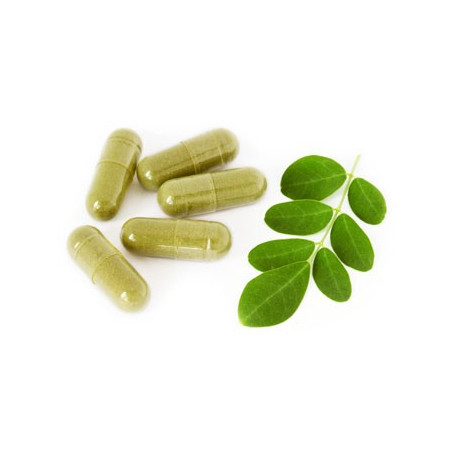 Moringa feuilles Gelules