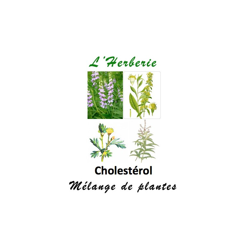 Cholestérol mélange de plantes 100 gr Cholestérol mélange de plantes 100 gr