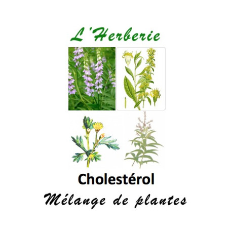 Cholestérol mélange de plantes 100 gr