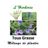 Toux Grasse Mélange de Plantes 100 gr