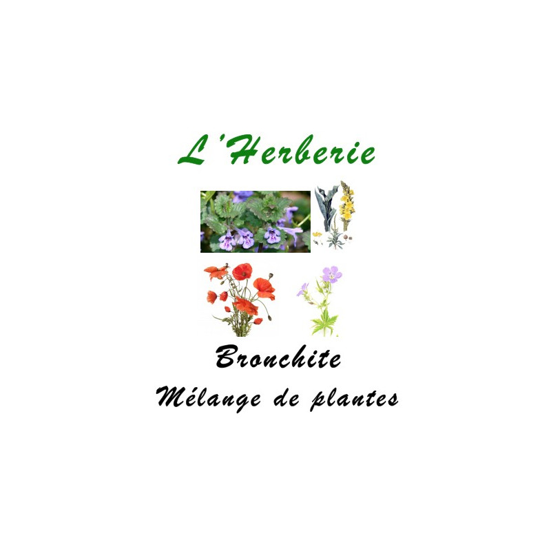 Bronchite mélange de Plantes 100 gr