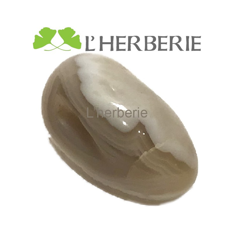 AGATE DE BOTSWANA GALET
