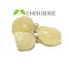 CALCITE ORANGE