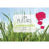 Les fleurs gourmandes Tome I