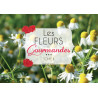 Les fleurs gourmandes Tome II