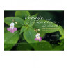 Voyage au coeur des Fleurs de Bach