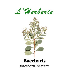 BACCHARIS 100 gr Baccharis Trimera