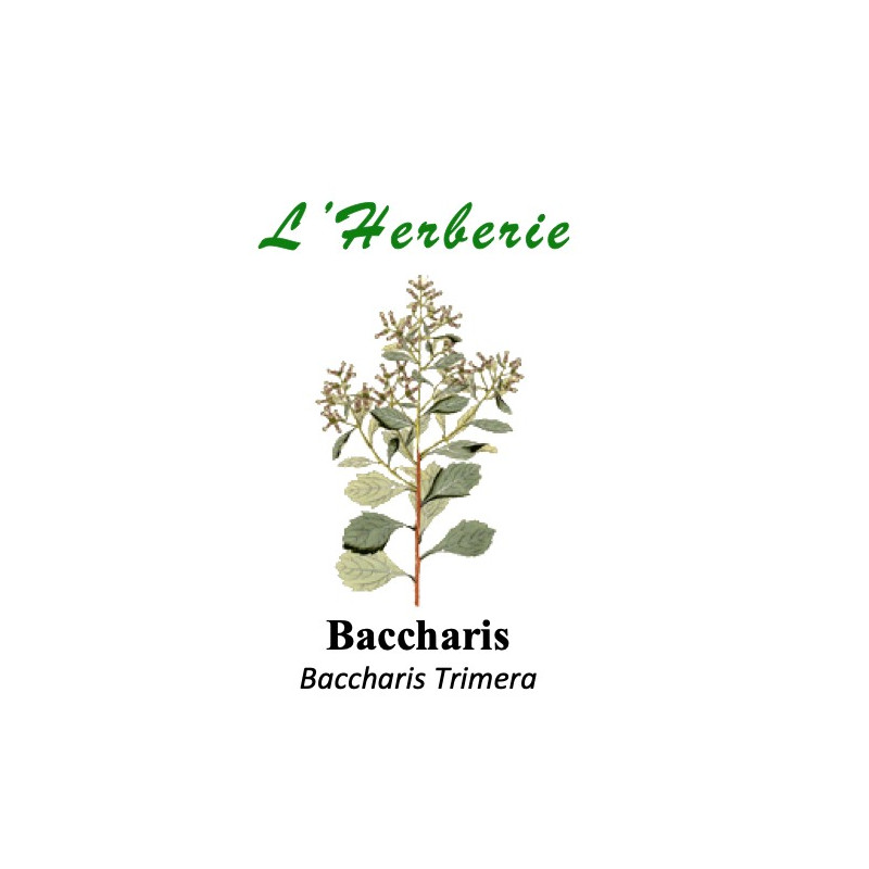 BACCHARIS 100 gr Baccharis Trimera
