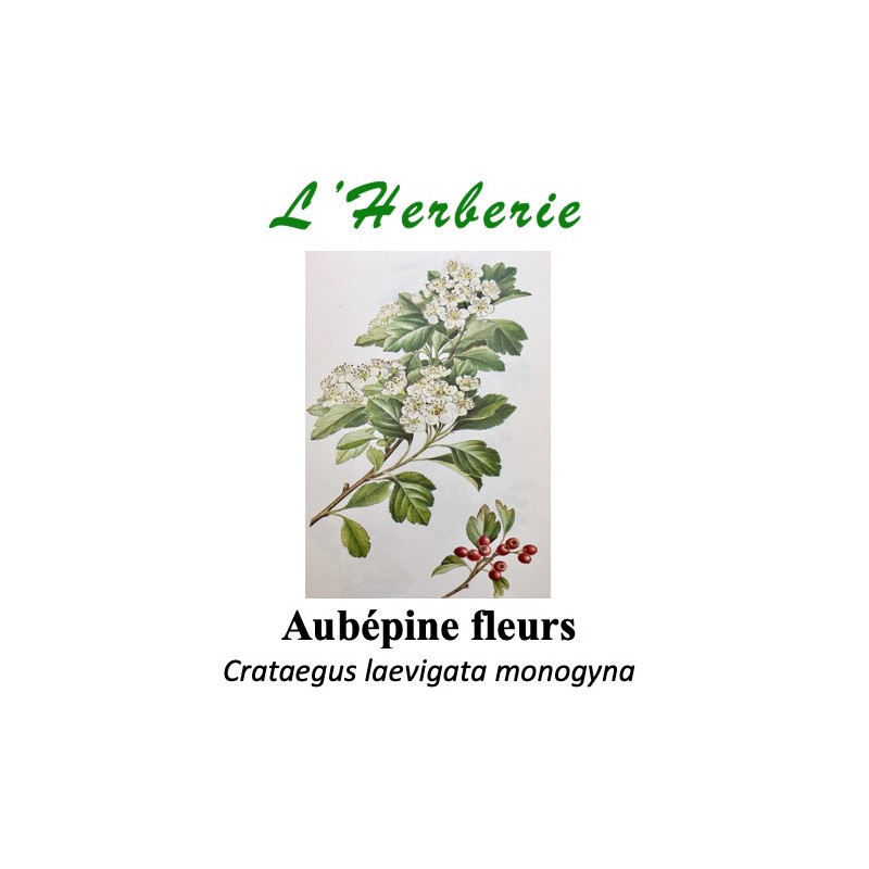 AUBEPINE FLEURS 100GR