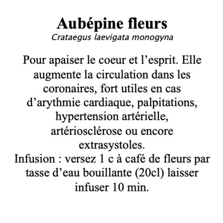 Aubépine – Fleurs coupées (100 g) – Crataegus monogyna