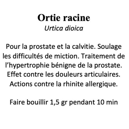 ORTIE RACINE 100GR