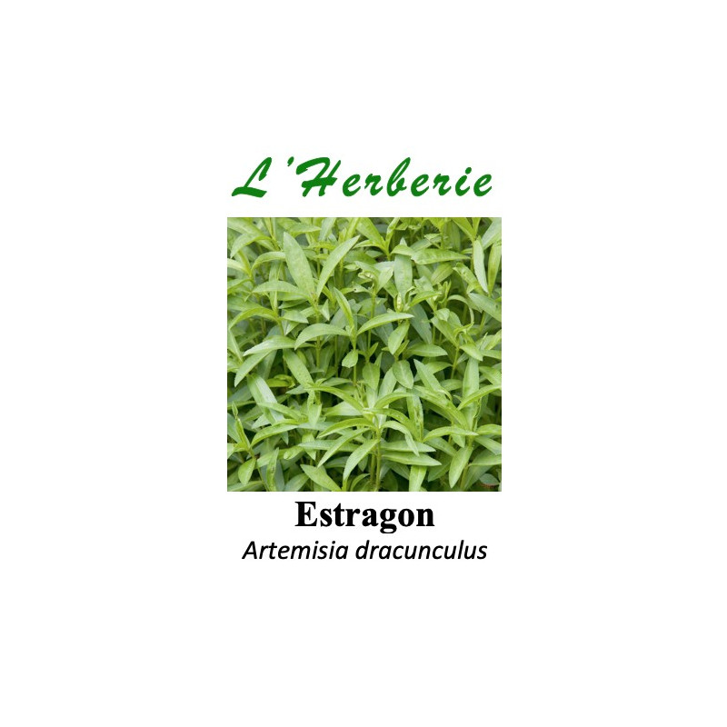 Estragon feuille coupé 100 gr Artemisia dracunculus