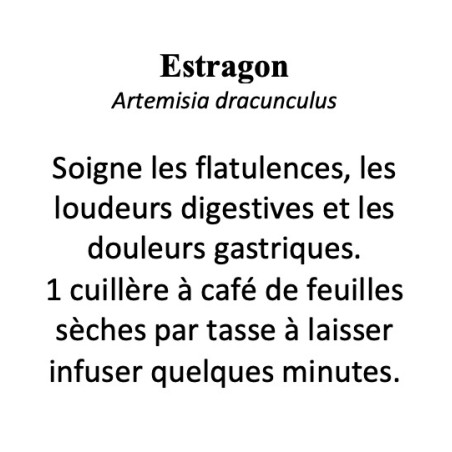Estragon – Feuille coupée (100 g) – Artemisia dracunculus