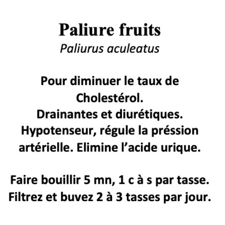 Paliure fruits 100 gr Paliurus aculeatus