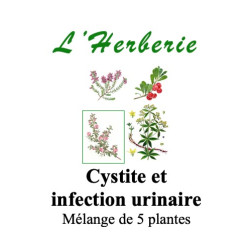 CYSTITE Mélange de 5 plantes 100 gr