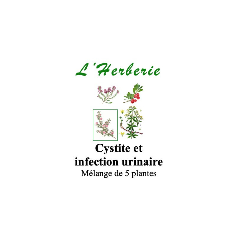 CYSTITE Mélange de 5 plantes 100 gr