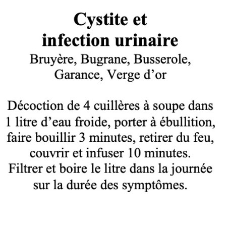 CYSTITE Mélange de 5 plantes 100 gr