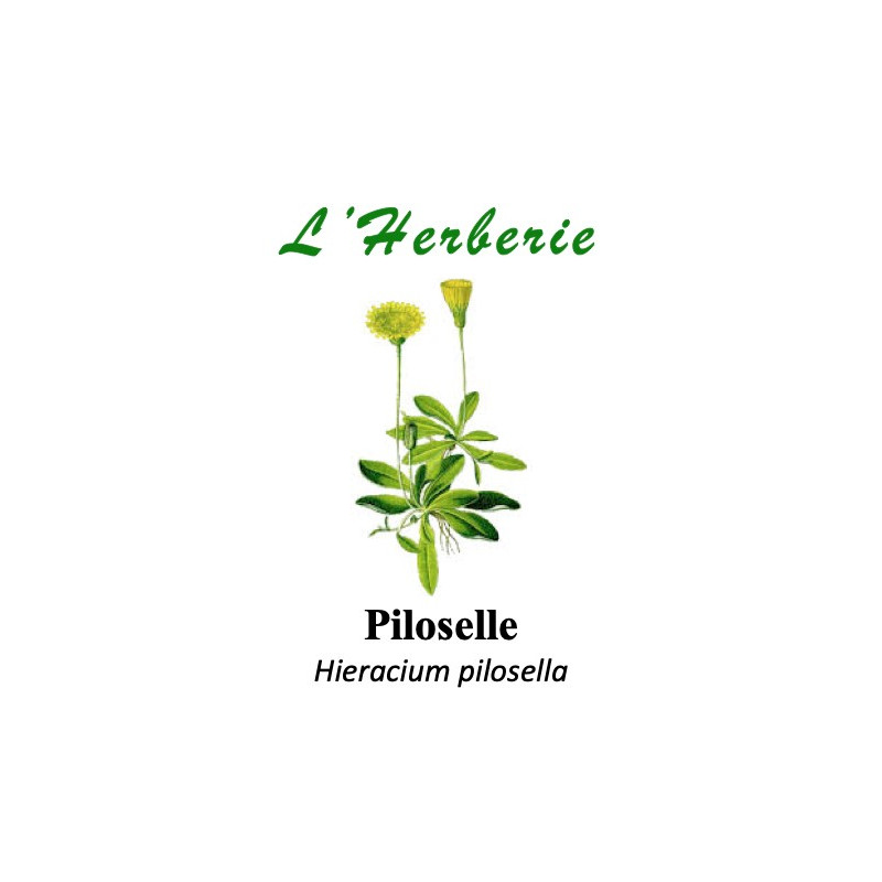 PILOSELLE 100GR PILOSELLE 100GR
