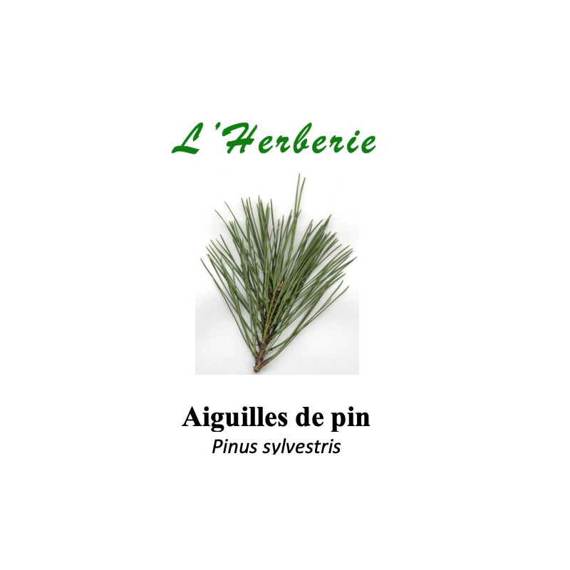 AIGUILLES DE PIN 100GR