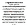 GINGEMBRE RHIZOMES 100GR