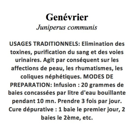 GENEVRIER BAIE 100GR