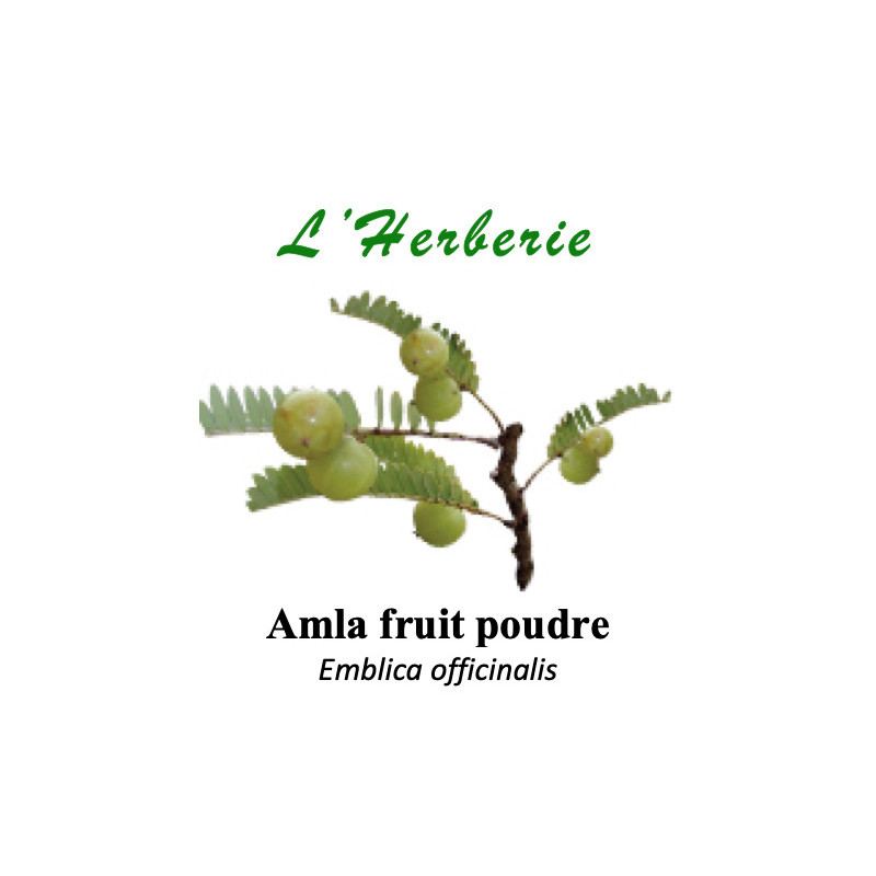 Amla fruit en Poudre 100gr Amla fruit en Poudre 100gr