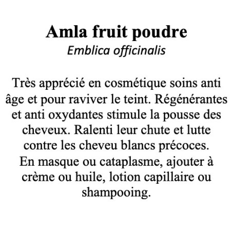 Amla fruit en Poudre 100gr