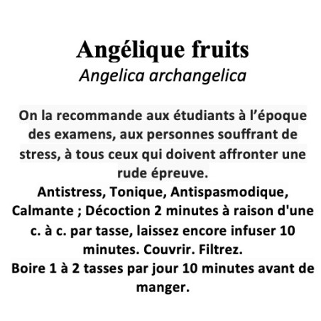 Angélique – Fruits (100 g) – Angelica archangelica
